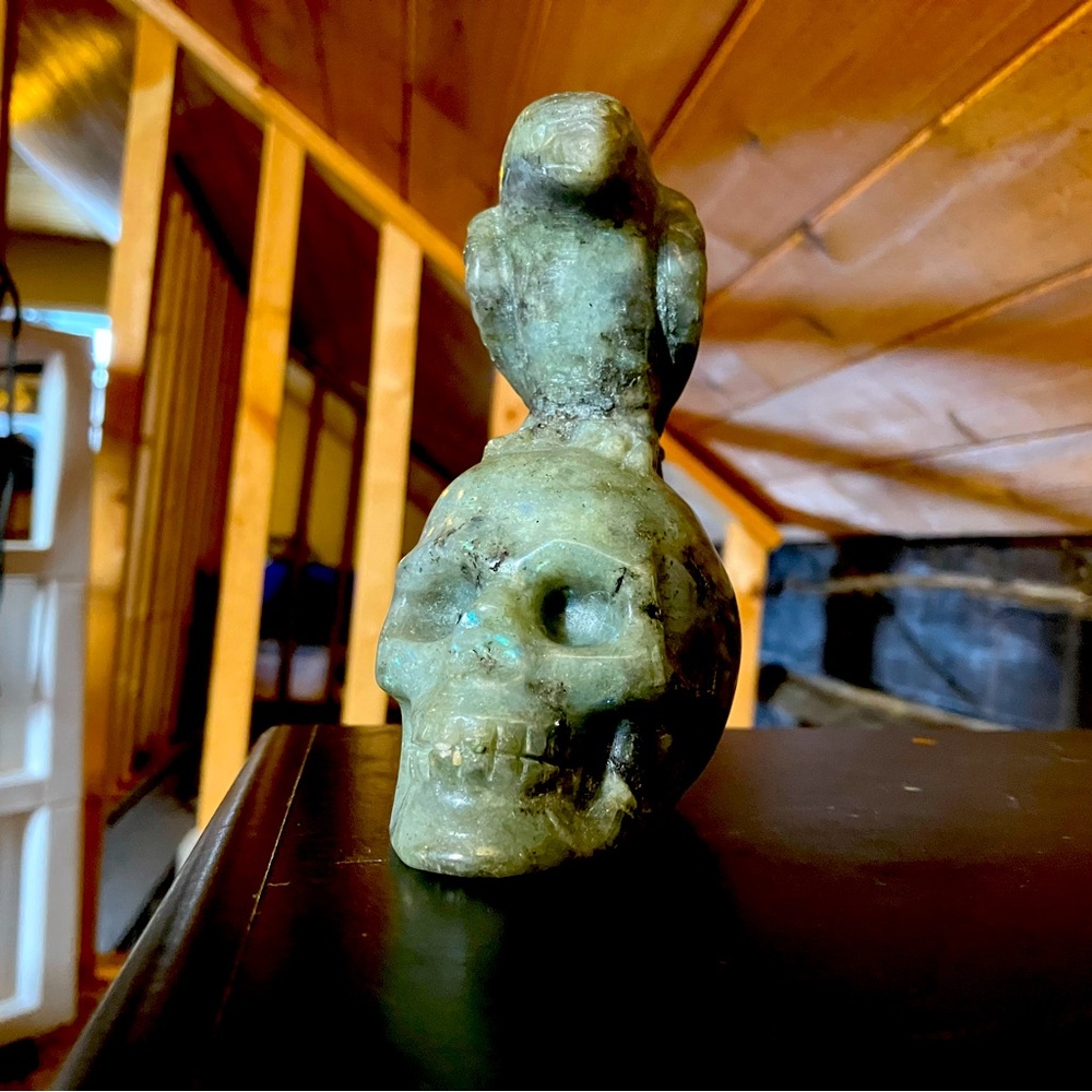 Laboradite crystal skull and crow